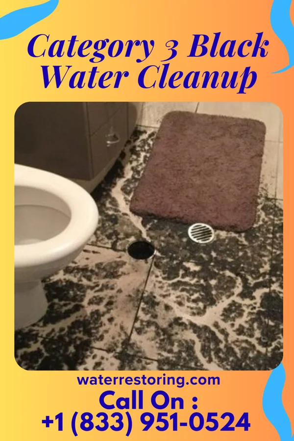 Category 3 Black Water Cleanup in Thurman, IA