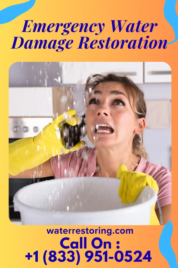 Emergency Water Damage Restoration in Thurman, IA