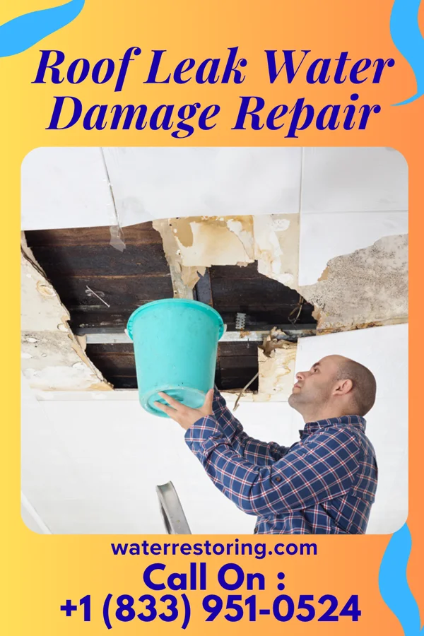 Roof Leak Water Damage Repair in Thurman, IA