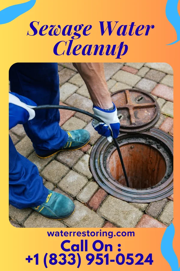 Sewage Water Cleanup in Thurman, IA